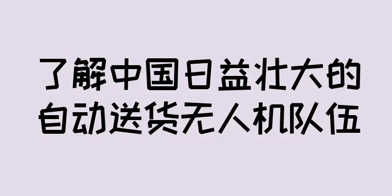 了解中国日益壮大的自动送货无人机队伍