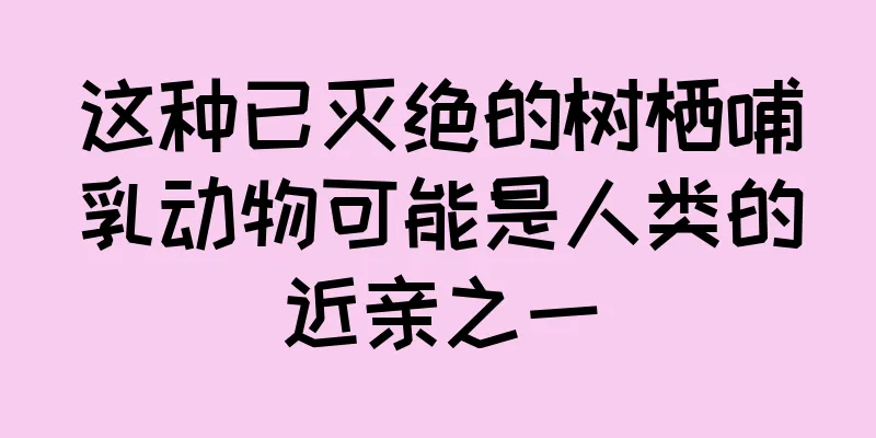 这种已灭绝的树栖哺乳动物可能是人类的近亲之一