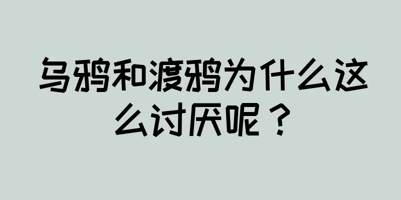 乌鸦和渡鸦为什么这么讨厌呢？