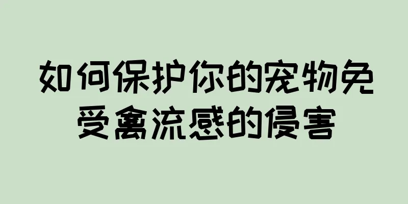 如何保护你的宠物免受禽流感的侵害