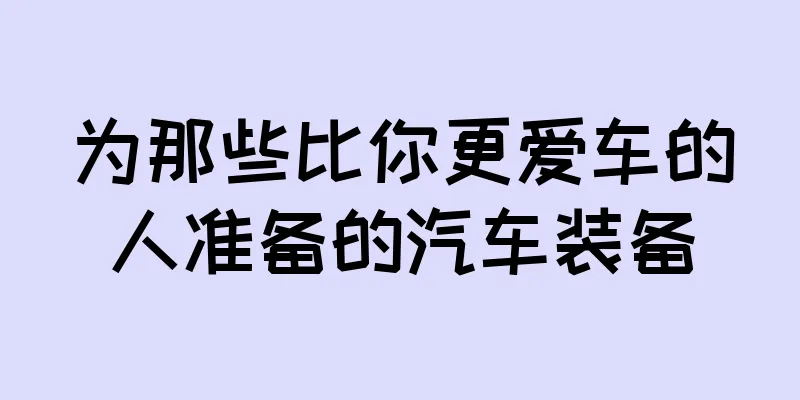 为那些比你更爱车的人准备的汽车装备