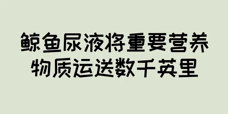 鲸鱼尿液将重要营养物质运送数千英里