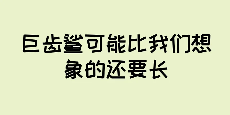 巨齿鲨可能比我们想象的还要长