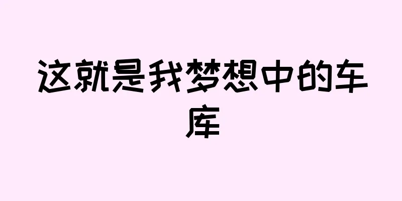 这就是我梦想中的车库