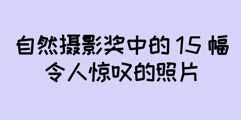 自然摄影奖中的 15 幅令人惊叹的照片