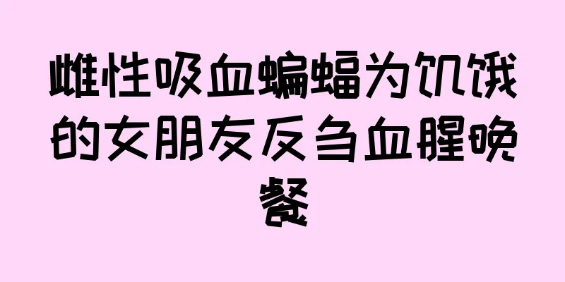 雌性吸血蝙蝠为饥饿的女朋友反刍血腥晚餐