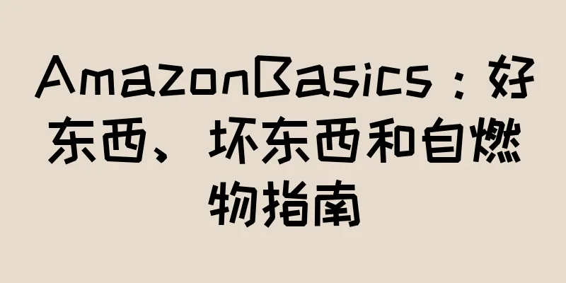 AmazonBasics：好东西、坏东西和自燃物指南