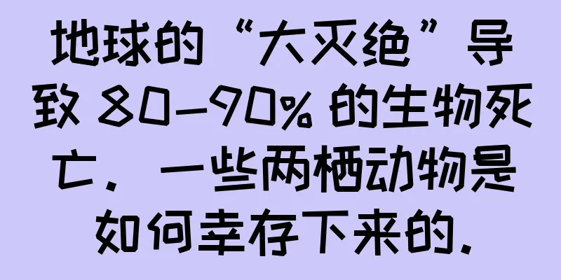 地球的“大灭绝”导致 80-90% 的生物死亡。一些两栖动物是如何幸存下来的。