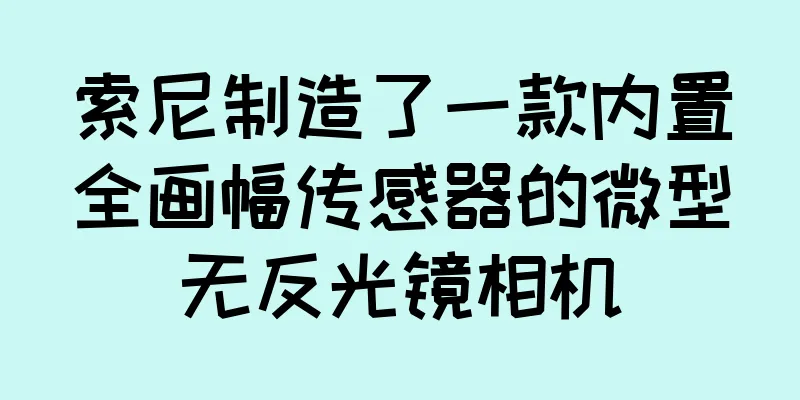 索尼制造了一款内置全画幅传感器的微型无反光镜相机