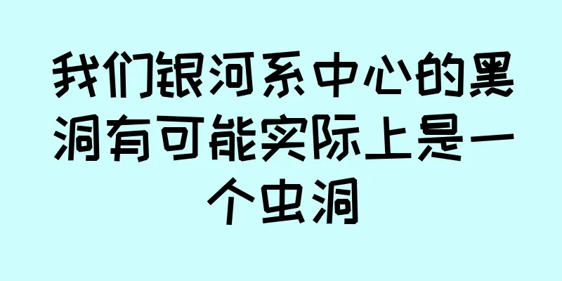 我们银河系中心的黑洞有可能实际上是一个虫洞
