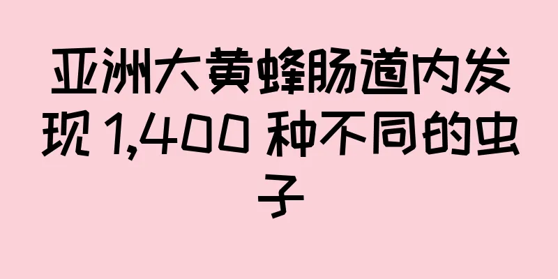亚洲大黄蜂肠道内发现 1,400 种不同的虫子