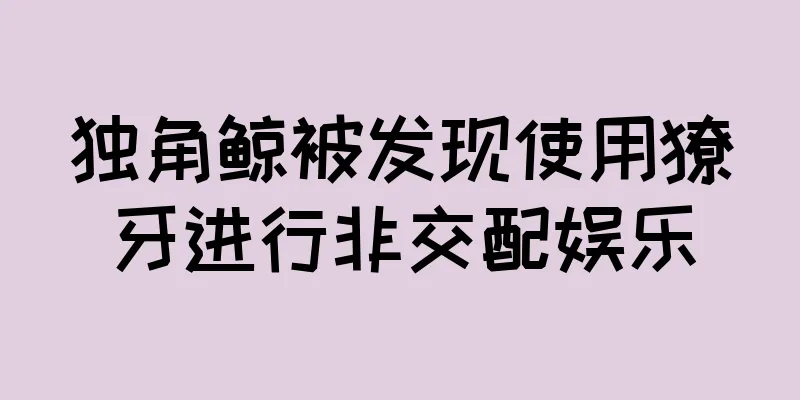 独角鲸被发现使用獠牙进行非交配娱乐