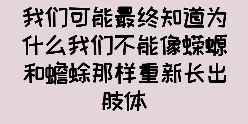我们可能最终知道为什么我们不能像蝾螈和蟾蜍那样重新长出肢体