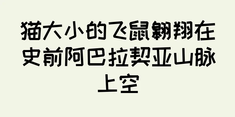 猫大小的飞鼠翱翔在史前阿巴拉契亚山脉上空