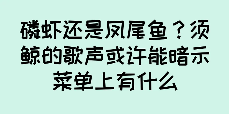 磷虾还是凤尾鱼？须鲸的歌声或许能暗示菜单上有什么