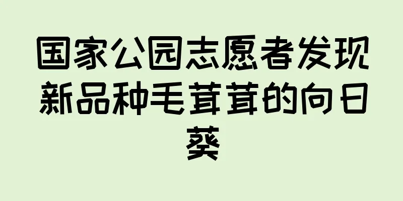 国家公园志愿者发现新品种毛茸茸的向日葵