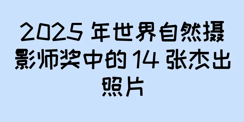 2025 年世界自然摄影师奖中的 14 张杰出照片