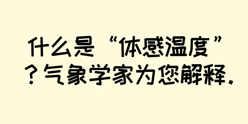 什么是“体感温度”？气象学家为您解释。