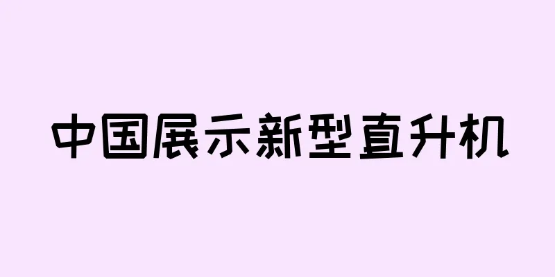 中国展示新型直升机