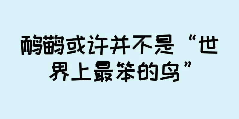 鸸鹋或许并不是“世界上最笨的鸟”