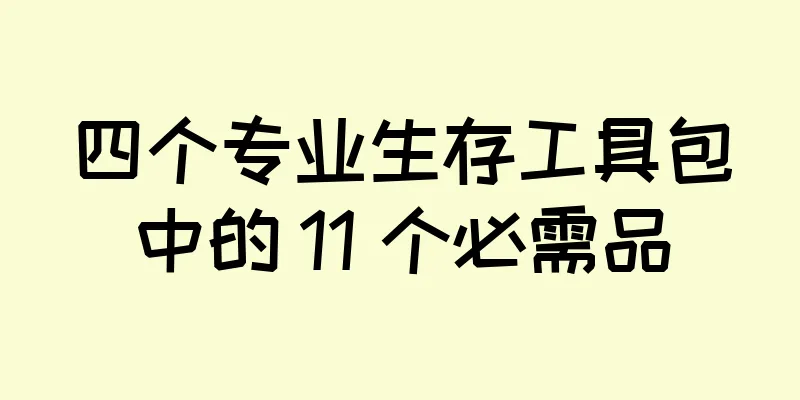 四个专业生存工具包中的 11 个必需品