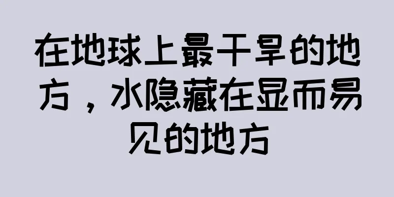 在地球上最干旱的地方，水隐藏在显而易见的地方