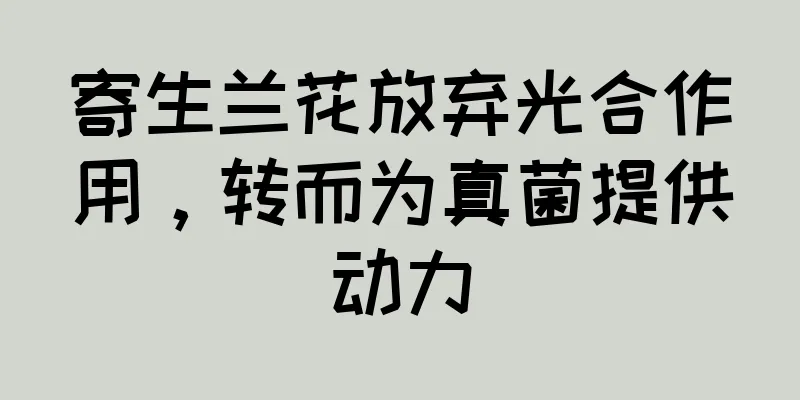寄生兰花放弃光合作用，转而为真菌提供动力