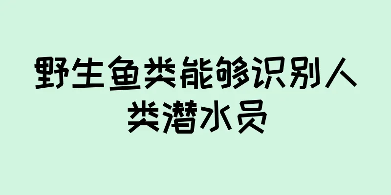 野生鱼类能够识别人类潜水员