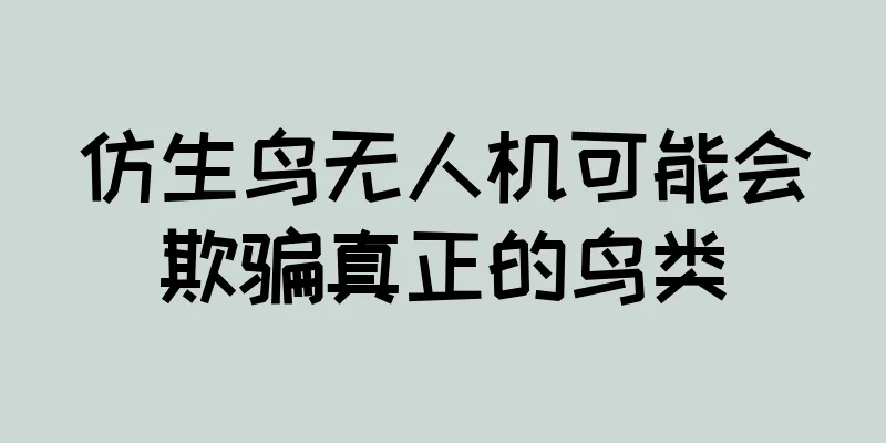 仿生鸟无人机可能会欺骗真正的鸟类