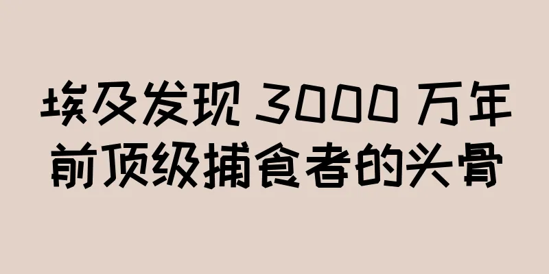 埃及发现 3000 万年前顶级捕食者的头骨