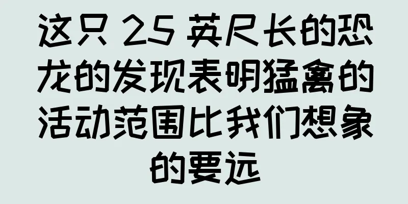 这只 25 英尺长的恐龙的发现表明猛禽的活动范围比我们想象的要远
