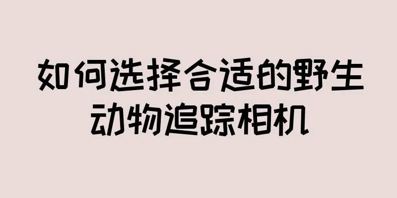 如何选择合适的野生动物追踪相机
