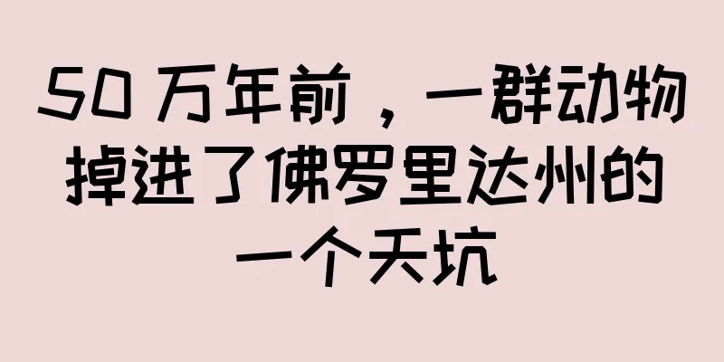 50 万年前，一群动物掉进了佛罗里达州的一个天坑