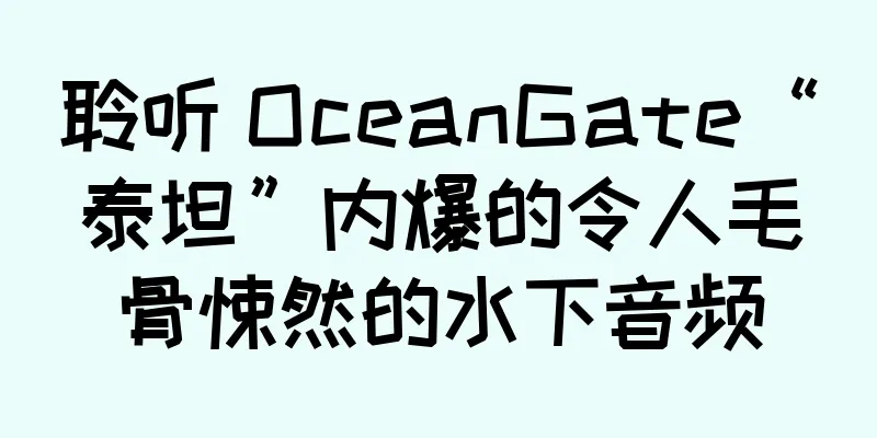 聆听 OceanGate“泰坦”内爆的令人毛骨悚然的水下音频