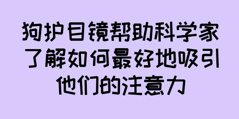 狗护目镜帮助科学家了解如何最好地吸引他们的注意力