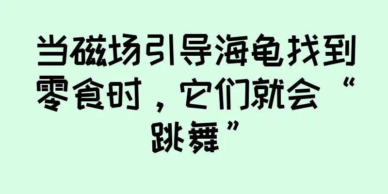 当磁场引导海龟找到零食时，它们就会“跳舞”