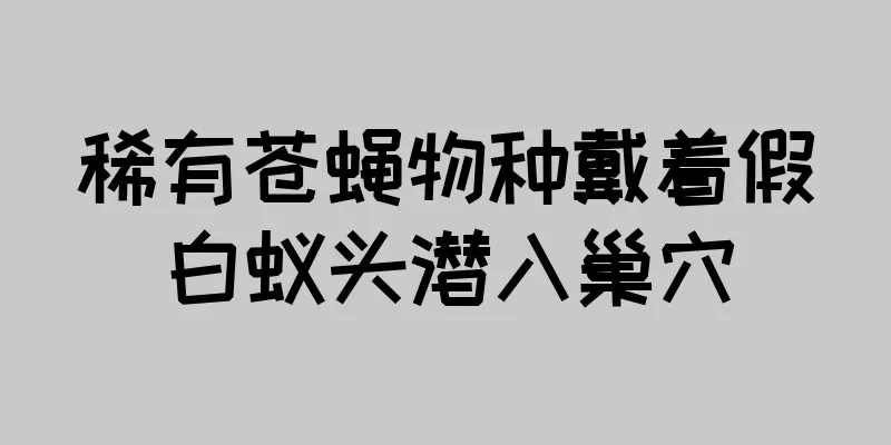 稀有苍蝇物种戴着假白蚁头潜入巢穴