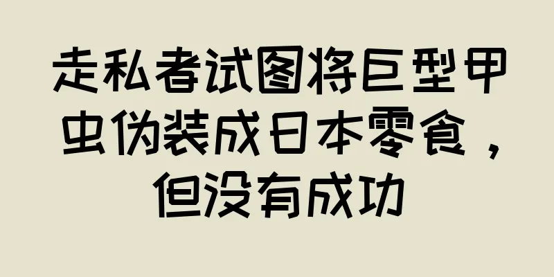 走私者试图将巨型甲虫伪装成日本零食，但没有成功