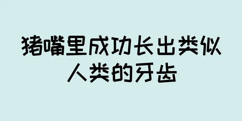 猪嘴里成功长出类似人类的牙齿