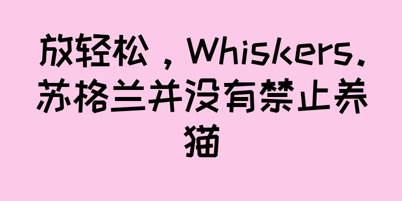 放轻松，Whiskers。苏格兰并没有禁止养猫