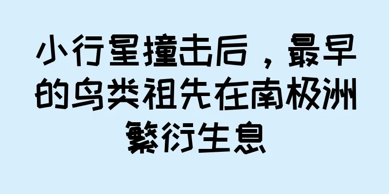 小行星撞击后，最早的鸟类祖先在南极洲繁衍生息