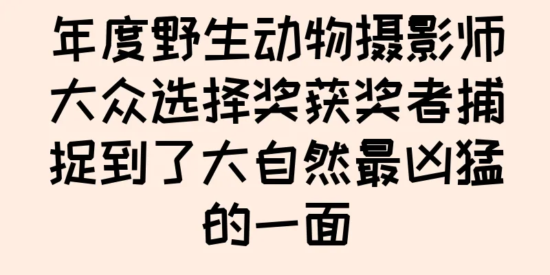 年度野生动物摄影师大众选择奖获奖者捕捉到了大自然最凶猛的一面