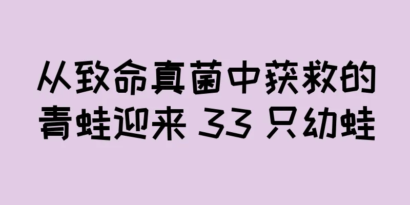 从致命真菌中获救的青蛙迎来 33 只幼蛙