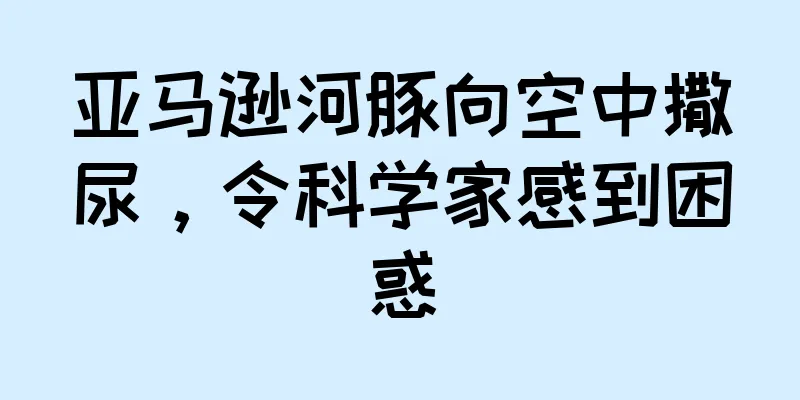 亚马逊河豚向空中撒尿，令科学家感到困惑