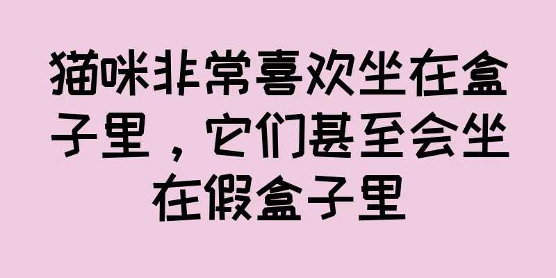 猫咪非常喜欢坐在盒子里，它们甚至会坐在假盒子里