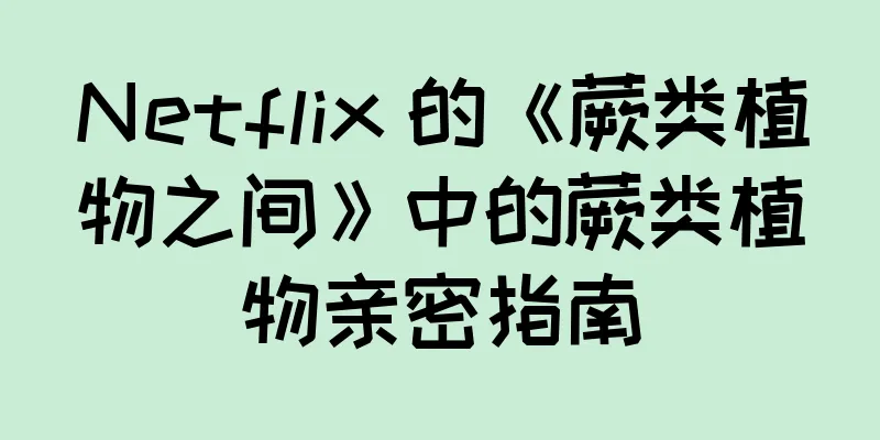 Netflix 的《蕨类植物之间》中的蕨类植物亲密指南