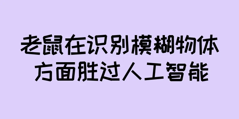 老鼠在识别模糊物体方面胜过人工智能