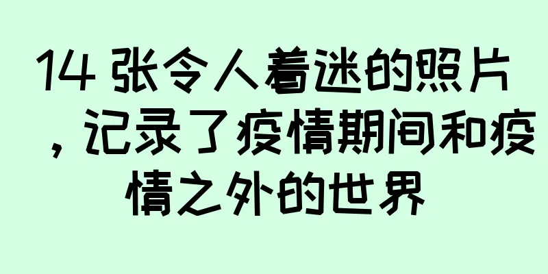 14 张令人着迷的照片，记录了疫情期间和疫情之外的世界