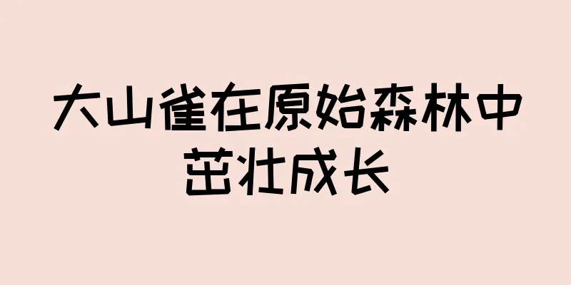 大山雀在原始森林中茁壮成长