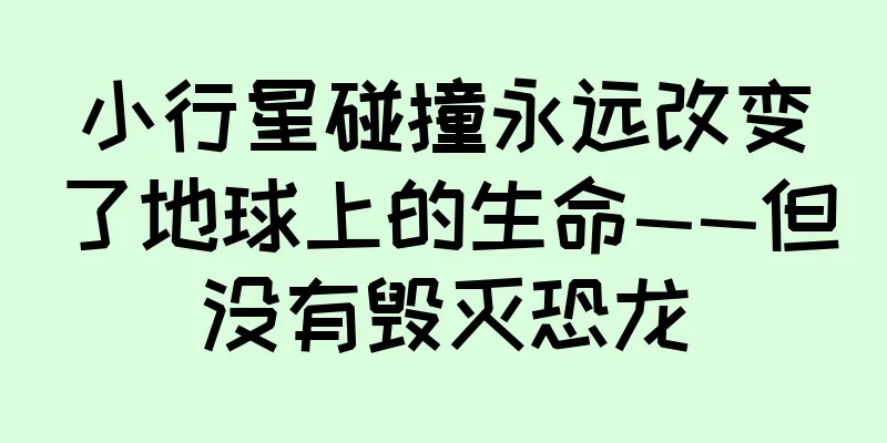 小行星碰撞永远改变了地球上的生命——但没有毁灭恐龙